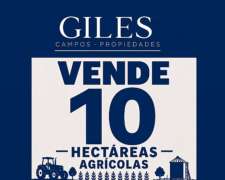 Campo Agrícola 10 Hectáreas
