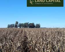 207 Ha Agricola Ganadero-vivorata
