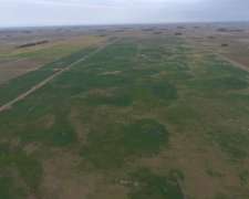 Tambo y Fábrica Saladillo - 487 Ha - Buenos Aires