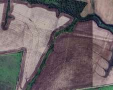 Villa Elisa Entre Rios Campo Agricola y Ganadero