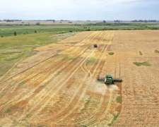 375 Has. Campo Productivo Con Casco Y Parque En Baradero
