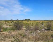 2500ha Mixtas Armadas en Intiyaco, Santa FE