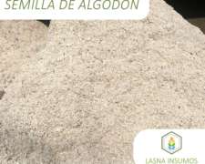 Semilla de Algodón - Lasna Insumos