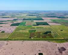 100 Has en Venta - Pcia del Chaco, las Breñas