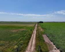 68 Has Mixtas - 56 Has Agrícolas - SA Pereira - las Colonias