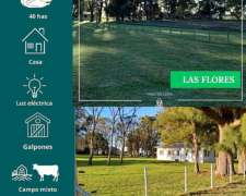 Campo en las Flores 40 Has