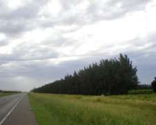 90 Has Agrícolas Haras Boxes Arboledas Baradero