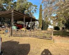 Monte Venta 370 Ha Agricolas a 1 Hora de Bsas