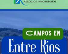 3.5 Ha En Zona Termas - Villa Elisa