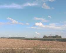 Fighiera Santa FE, 35 Has. Agrícolas