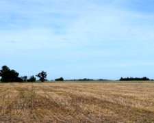 68 Hás, Mayormente Agrícola, LO Ganadero muy Bueno.