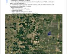 Alquilo 1,300 Hectareas de Campo Ganadero