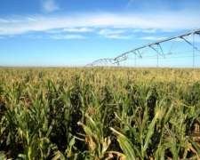 250 Ha Agricolas con Riego por Pivot Central