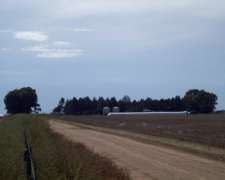 Agrícola 100%, Sobre Acuífero Dulce, Puan Prov BS AS