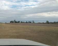 112 Ha Don Cristobal. 80 Ha Agrícolas