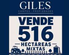 Campo Mixto 516 Hectáreas Pergamino