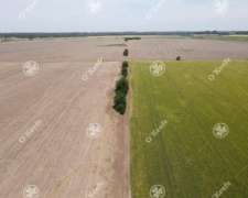 Campo en Venta de 1082 Has San Miguel del Monte. Mixto
