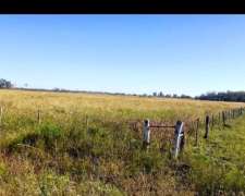 Se Vende 150 Ha Zona Pilar y Aurelia