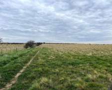 800 Hectáreas San German, Pdo. de Puan