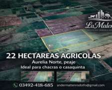 Vendo 22 Has Agricolas. Nuevo Torino, Santa FE.