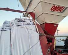 Embolsadora de Granos Secos Ombu de 9 Pies