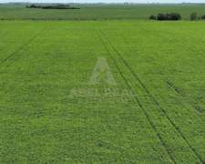 130 Ha San Gregorio, Santa FE