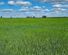 330has Agrícola y Ganadería