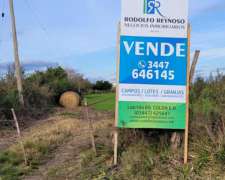 4 HA. en San Anselmo