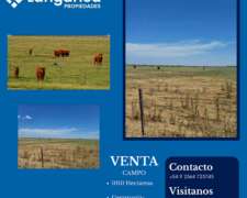 Campo Pinto 1010 Hectárea