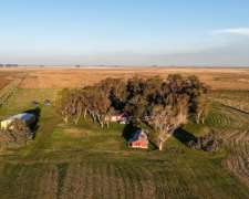 Campo Mixto De 1.561 Ha En Pila.
