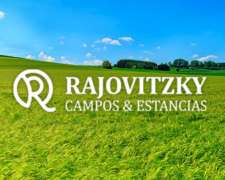 Vendo 195 Has Campo Mixto