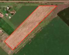 5 Has en el Arbolito