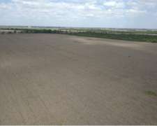 Venta 200 Has Alta Gracia