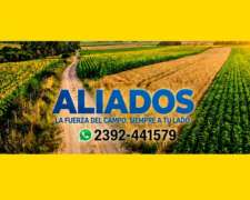 Insumos Biológicos para TU Producción