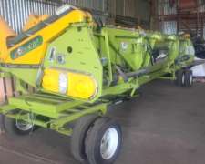 A 42 Maicero Alliochis 16 a 42