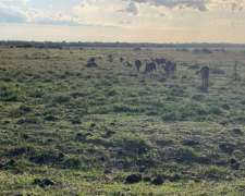 Se Arrienda Campo Mixto en Corrientes