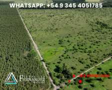 65 + 48 Has. Zona Forestal