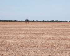 Campo Agrícola 1250 Ha - Villa Mercedes