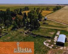 627has en Venta en Alpachiri, la Pampa. Campo Agricola