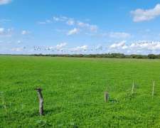 800 Has San Javier - STA FE - Venta