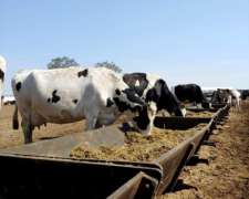 Comederos para Vacas 4.00mts.