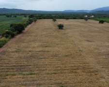 Campo Agrícola en Valle de Lerma