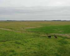 Pcia. de Buenos Aires - Chascomus 498 Ha