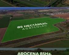 Arocena 85ha Agrícola Frente Autopista Ruta Campo En Venta.