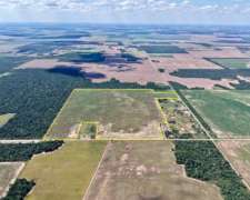 80 Has en Venta - Pcia del Chaco, Campo Largo