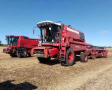 Vassalli 1550, Motor Hecho a Nuevo