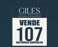 Campo Agrícola 107 Hectáreas Suelo 1
