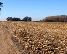 855 Has en General Arenales