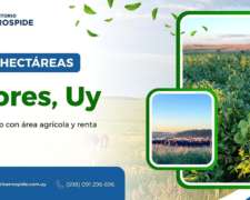 Campo en Venta Uruguay, Flores