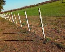 110 Ha Agrícolas Con Mejoras En Villaguay. Excelente Campo